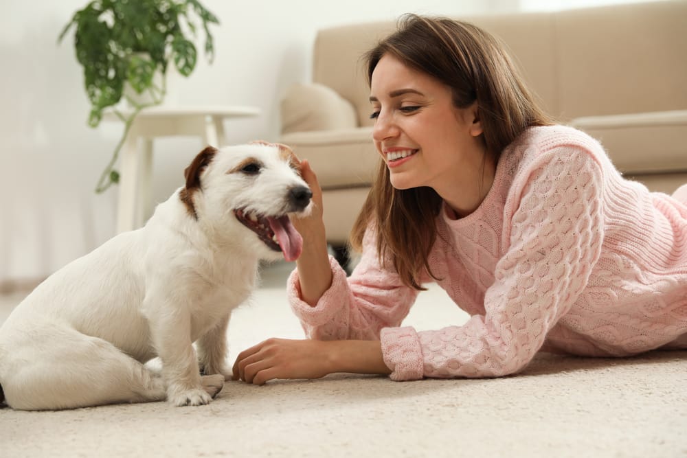 Smiling woman in a pink sweater bonding with her dog at home, representing the positive impact of pet companionship on mental health.