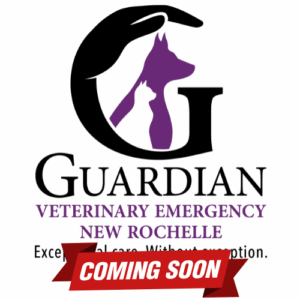 Guardian Veterinary Emergency New Rochelle: Coming Soon.